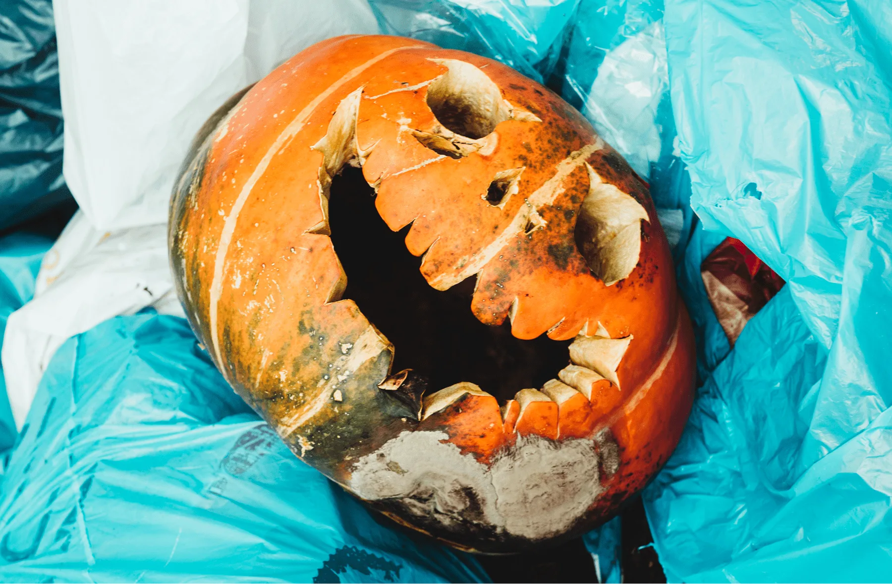 what you can throw in a dumpster rental